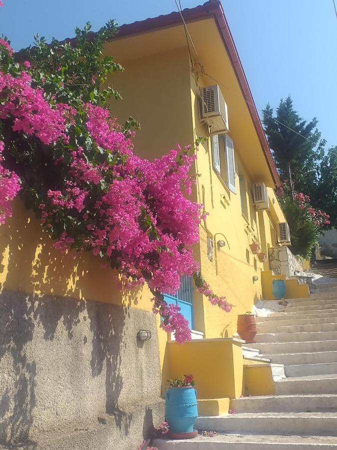 Villa Eleni Ваті Екстер'єр фото